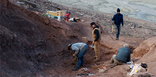 photo of paleontological dig