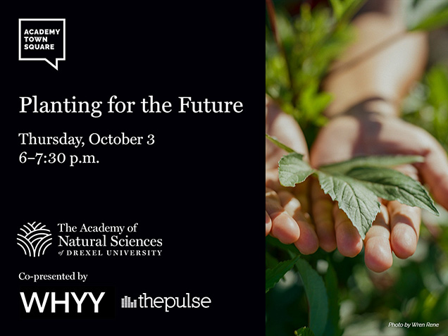 Academy Town Square: Planting for the Future, Thursday October 3, 6 to 7:30pm