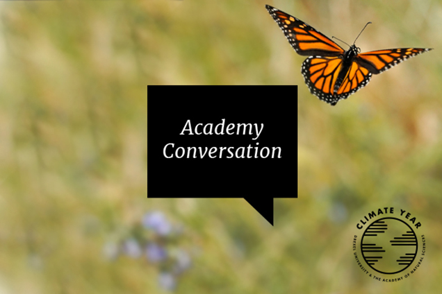 A Butterfly, a black box with the text 'Academy Conversation'