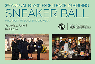 3rd annual Black Excellence in Birding, Skeaker Ball, In support of black birders week