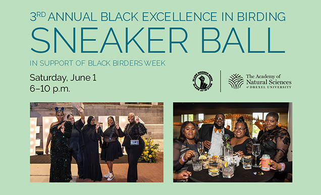 3rd annual Black Excellence in Birding, Skeaker Ball, In support of black birders week