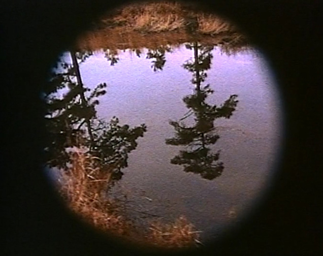 A film still from the film 'Pine Barrens'