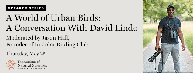 A World of Urban Birds: A Conversation With David Lindo