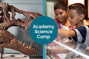 Academy Science Camp