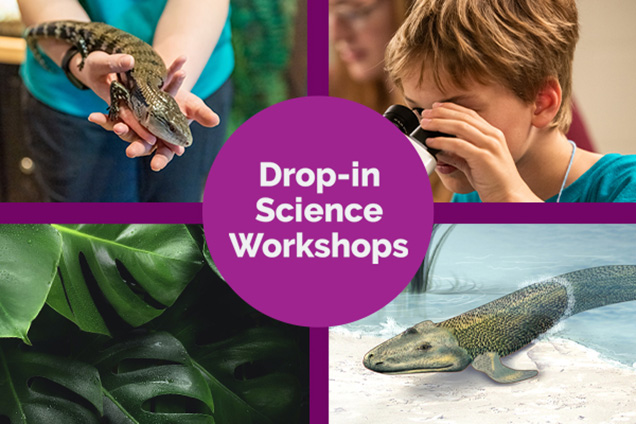 Drop-in Science Workshops, a collage of images including a child looking into a microscope, leaves, Tiktaalik, and a Blue-Tongued Skink