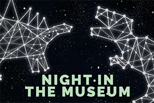 Two dinosaur constellations in the night sky with the text "Night in the Museum"
