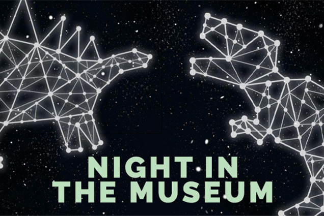 Two dinosaur constellations in the night sky with the text 'Night in the Museum'