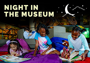 Four children wearing pajamas are reading books in dinosaur hall.