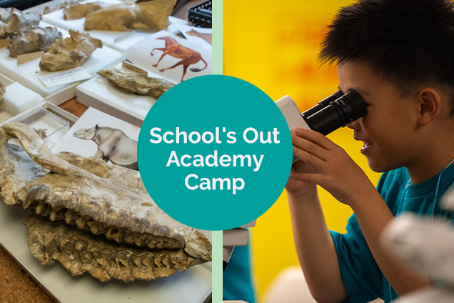 A child looking through a microscope, School's Out Academy Camp.