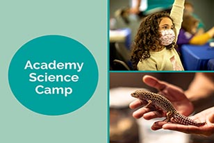 academy science camp girl with mask raising hand and leopard gecko