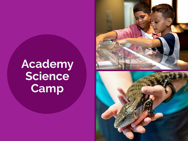 Academy Summer Camp, a skink, and two children looking at specimens 