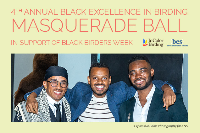 Black Excellence in Birding Masquerade Ball