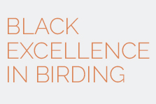 Black Excellence in Birding.