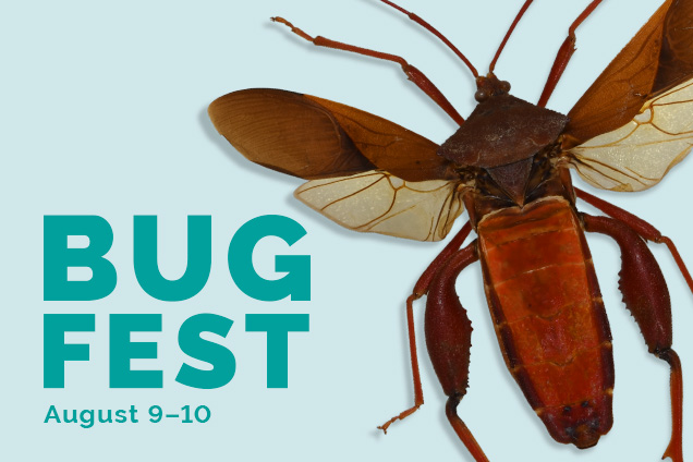 BugFest August 9-10