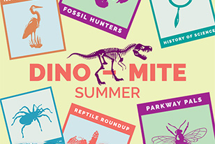 Dino-Mite Summer