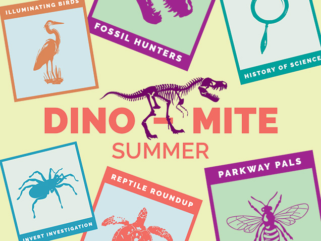 Dino-Mite Summer