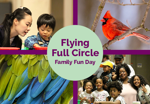 Flying Full Circle, Family Fun Day