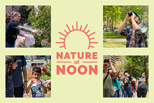 Text reads: Nature at noon, with several images of people collecting specimens outside.