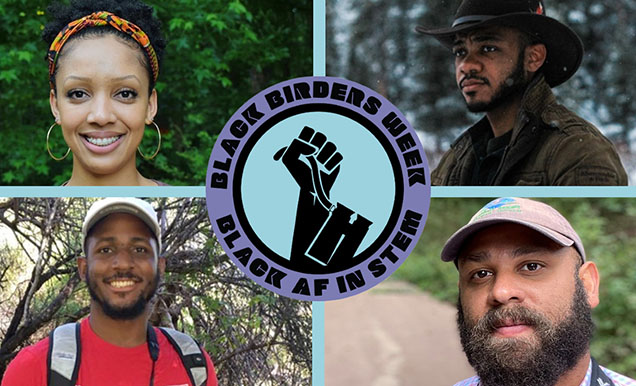 four images of birders around a black fist