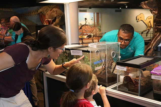woman and two children looking at bugs in glass displays with academy staff person