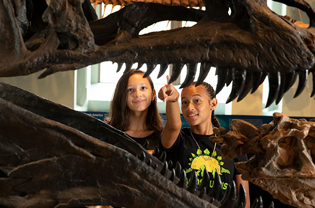 two girls look through mouth of dinosaur skeleton