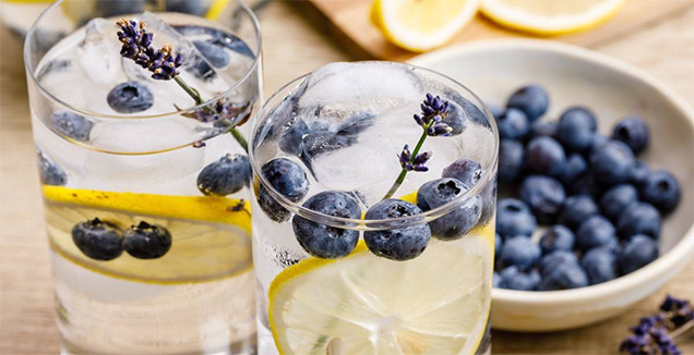 clear drink in glass with blueberries and lemon