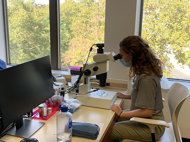 female college student looks through microscope