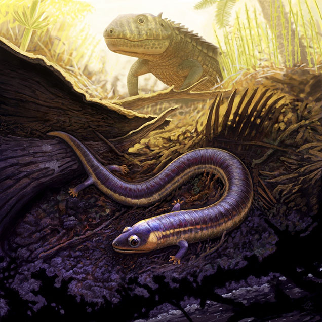 drawing of triassic era worm and lizard
