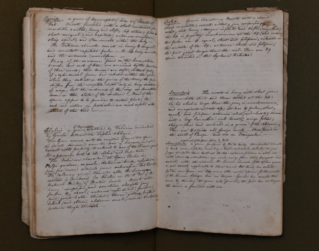 Image of an original field journal from Jacob Cist entomological workbooks (ANSP-Coll-0133)