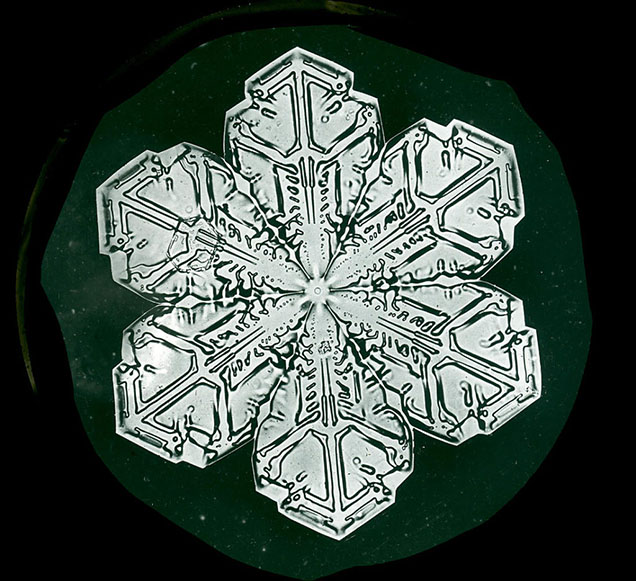 snowflake shown under microscope photo by snowflake bentley courtesy of schwerdfeger library