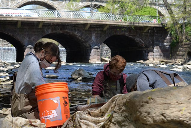 Three scientists looking for specimens on the shore of the Wissahickon river. 