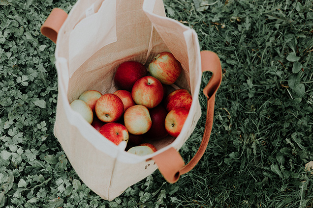 A bunch of apples in a reusable bag.