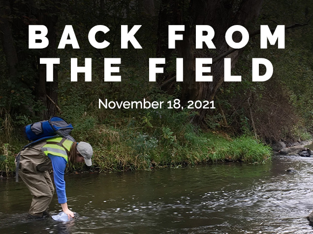 A scientist in a river taking a water sample with the text 'Back from the field, November 18, 2021'