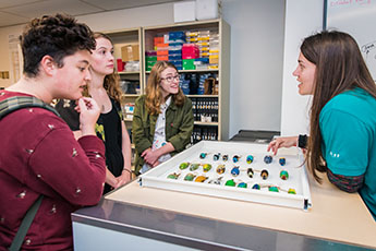 educator with ornithology specimens