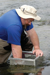 collecting macroinvertebrates