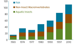 chart showing fish and invertebrate species richness over time