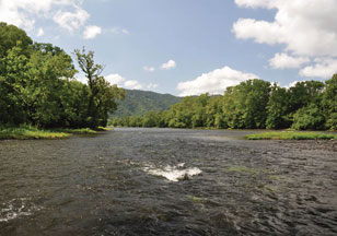 Holston River Monitoring Research At The Academy Of Natural Sciences Of Drexel University