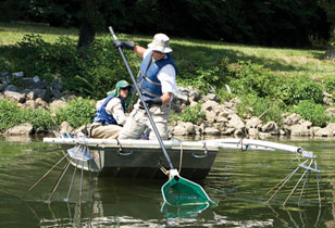 Sampling fish in the Holston with the shocker boat