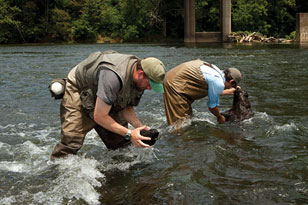 Will Bouchard and Sylvian Klein collecting macroinvertebrates in the Holston
