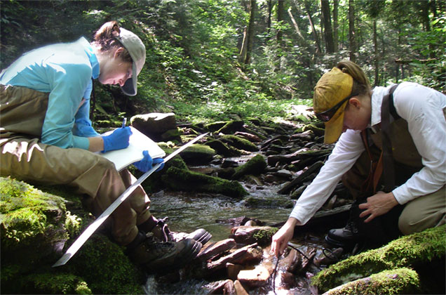 Patrick Center scientists measuring stream geomorphology in northeastern Pennsylvania
