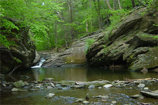 view upstream from Cresiem Creek in Fairmont Park