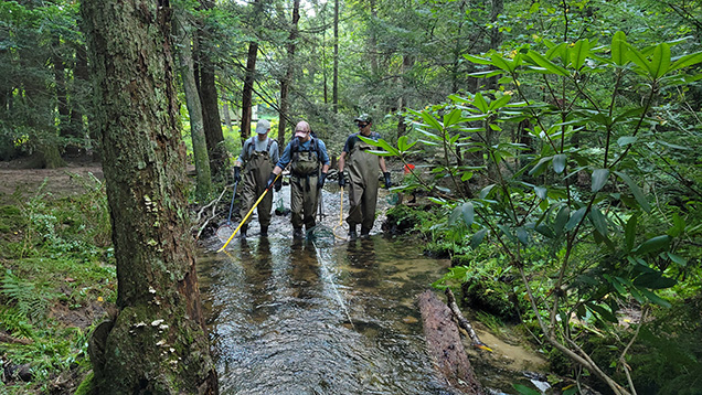 A group of scientists walking through a stream, collecting scientific samples.