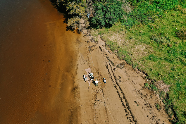 A group of scientists collecting samples by the side of a muddy river.