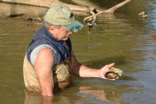 Ray Bouchard in the Sabine River with freshwater mussels 