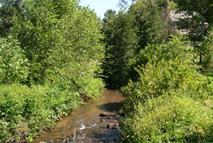 partially restored headwater stream in Pennsylvania
