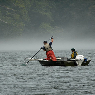 Scientists in a boat on a lake with a net.