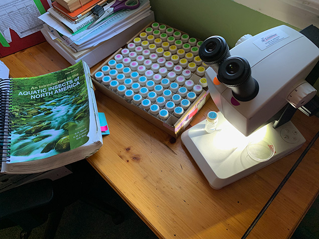 A microscope with several vials with different colored labels and a book of Aquatic Insects of North America.
