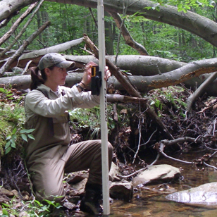 researcher studying in the field