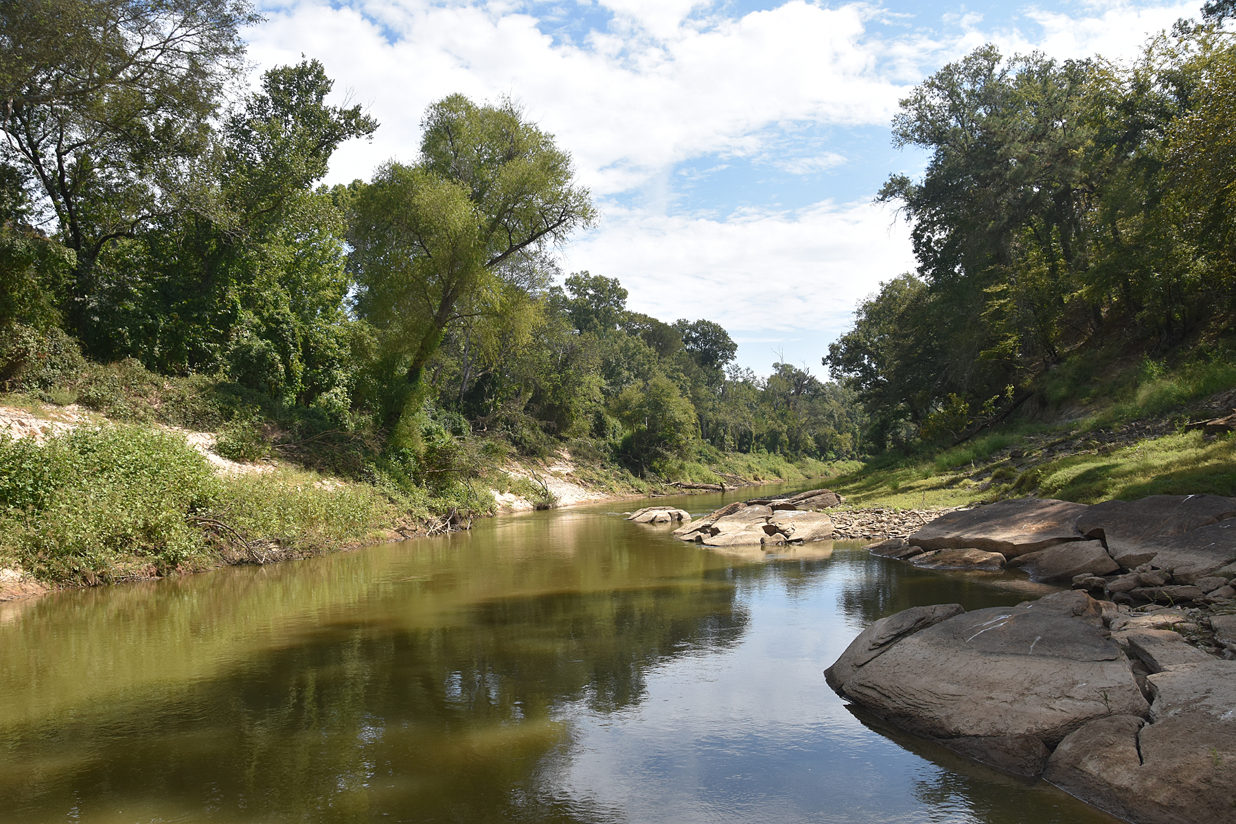 Sabine River Monitoring  Research at The Academy of Natural Sciences 