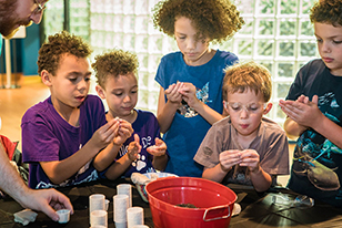 Children working on a science experiment